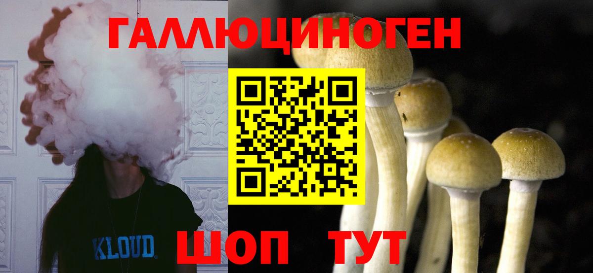Малоярославец  Псилоцибиновые грибы прущие грибы  Вход с VPN 