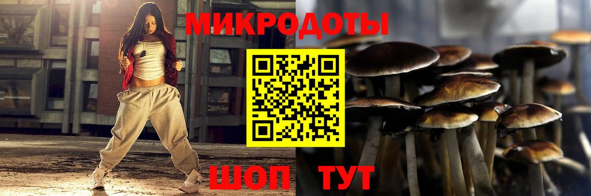 Псилоцибиновые грибы MAGIC MUSHROOMS Малоярославец